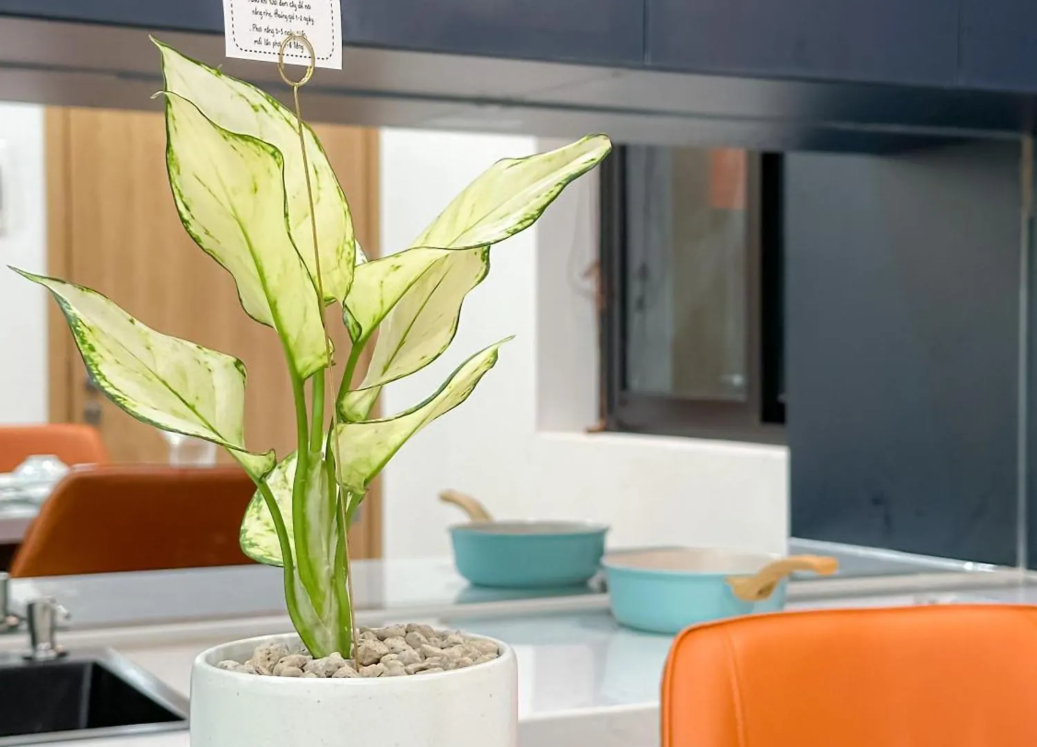 Unite Premier Apartment Ho Chi Minh